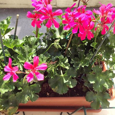 Hotel Villa Cinzia Villanova Mondovì Pokoj fotografie