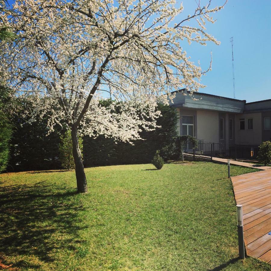 Hotel Villa Cinzia Villanova Mondovì Exteriér fotografie